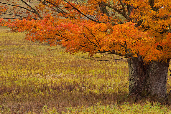 20091010-_DSC1373