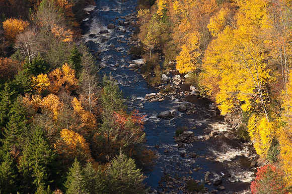 20091011-_DSC1551