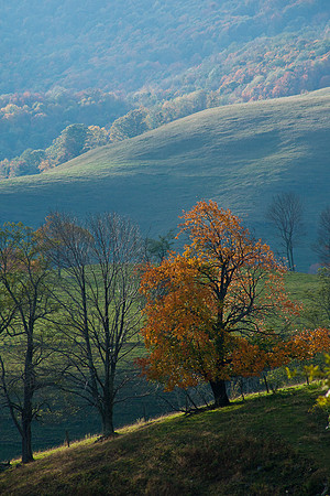 20091009-_DSC1306