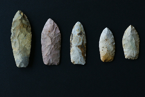 Paleo Lanceolates
