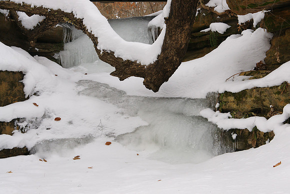 Starved Rock Winter-03165