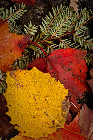 20091009-_DSC1184