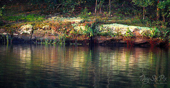 Little Grassy Reflection