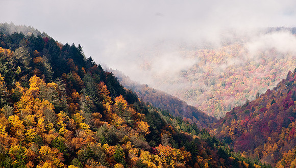 20091011-_DSC1489