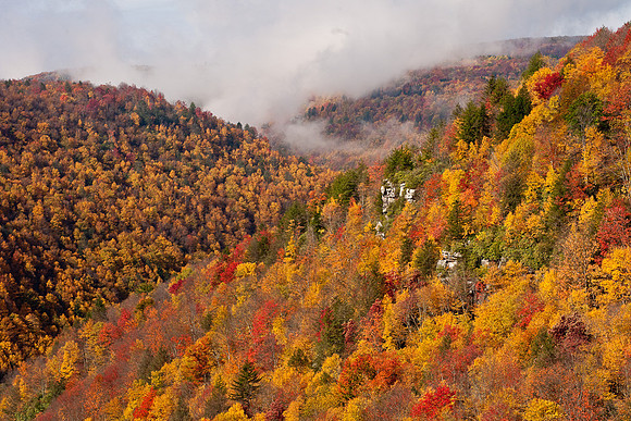 20091011-_DSC1584