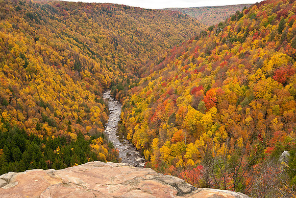 20091009-_DSC1187