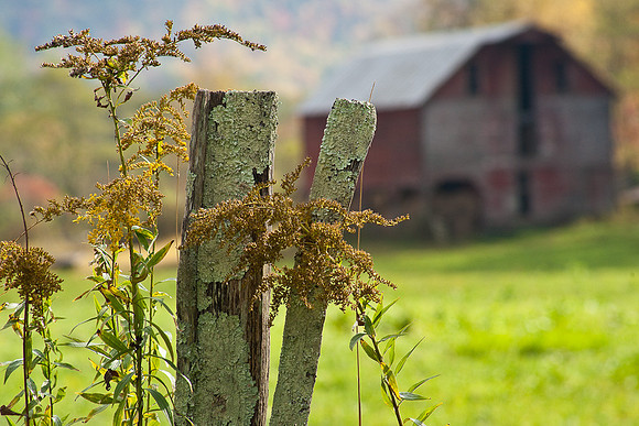 20091009-_DSC1242