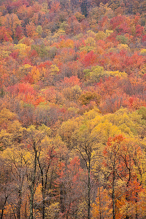 20091010-_DSC1386