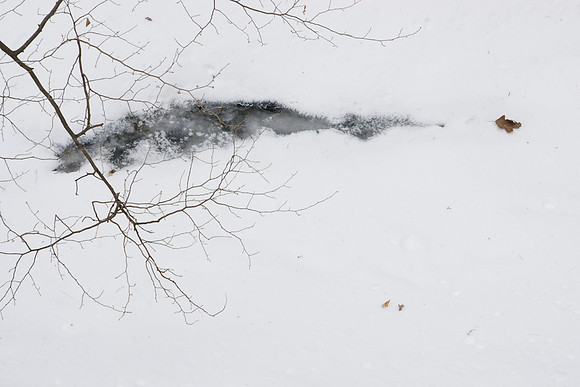 Starved Rock Winter-03076