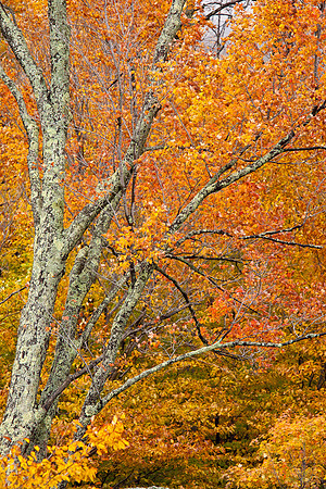 20091010-_DSC1381