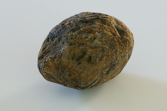 Paleo Hammer Stone