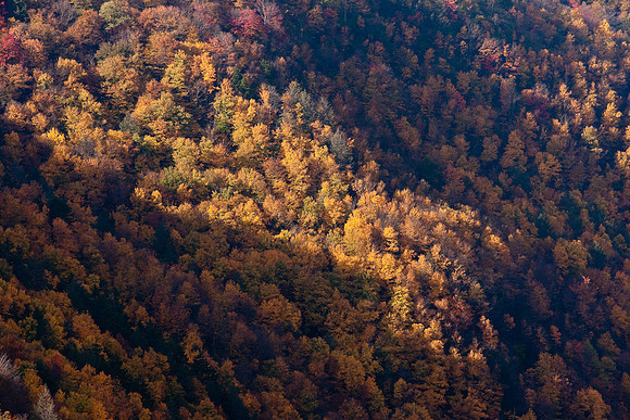 20091011-_DSC1526