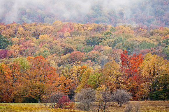 20091010-_DSC1377