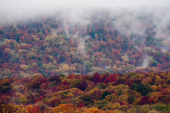 20091010-_DSC1338