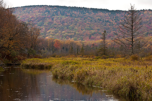 20091010-_DSC1428
