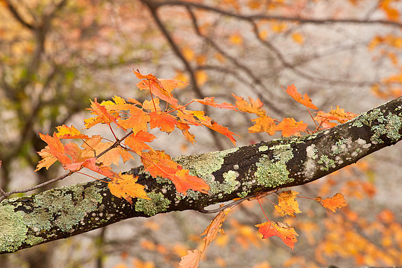 20091010-_DSC1409