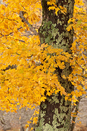 20091010-_DSC1408